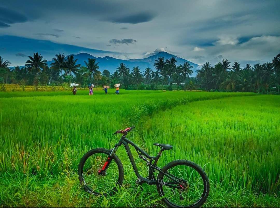 Peraja Loyok
