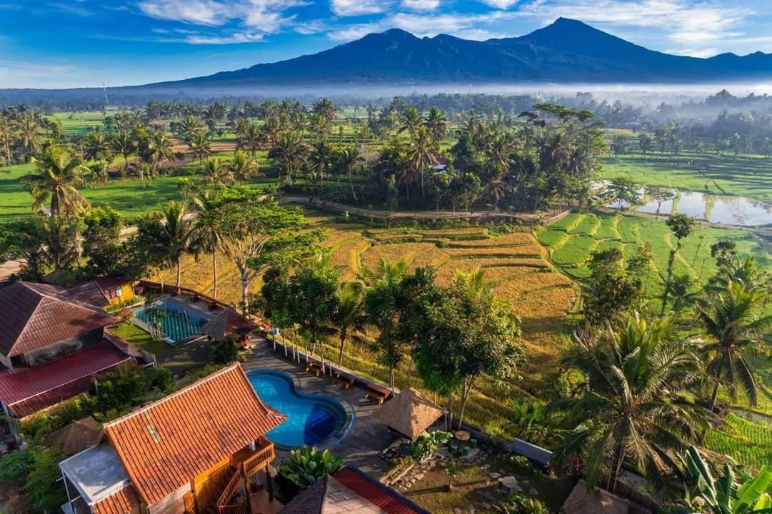 Peraja Loyok *