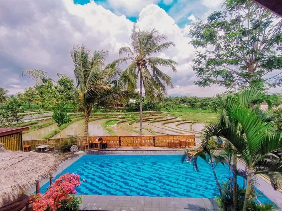 Homestay Peraja Loyok