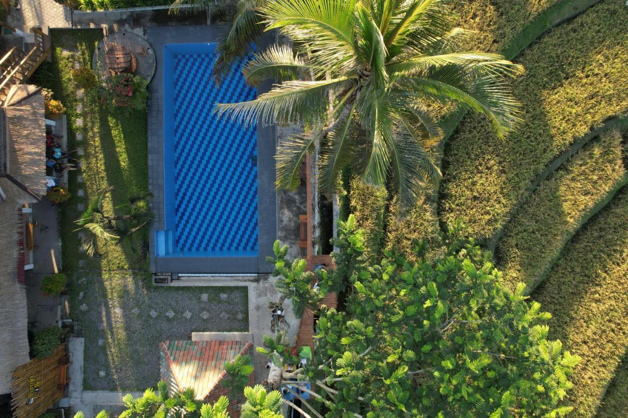 Peraja Loyok Homestay *