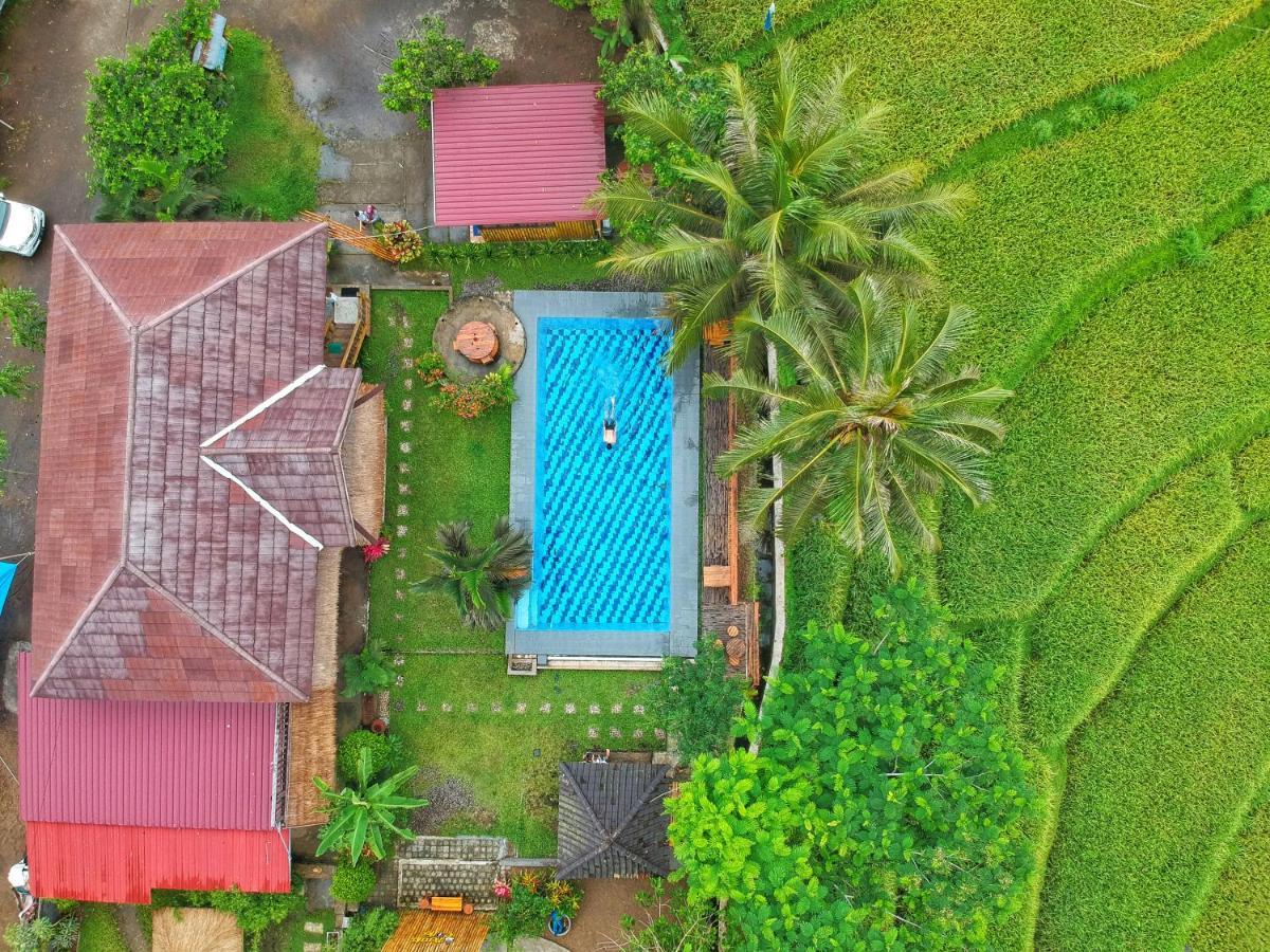 Homestay Peraja Loyok *