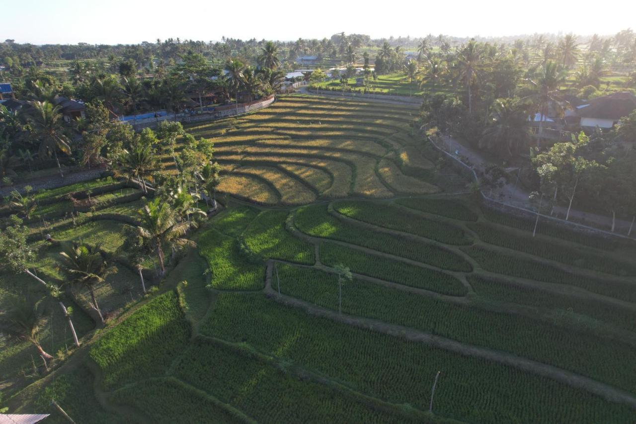 Peraja Loyok