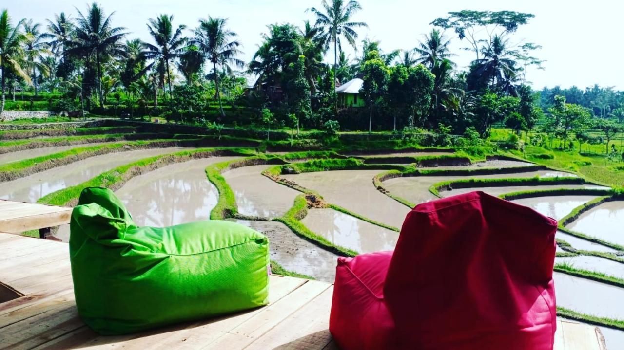 Homestay Peraja Loyok