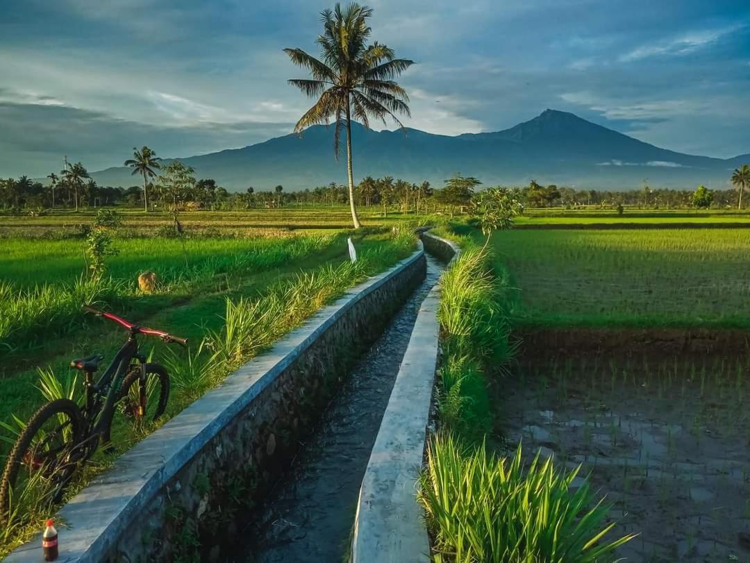 Peraja Loyok Sangyang