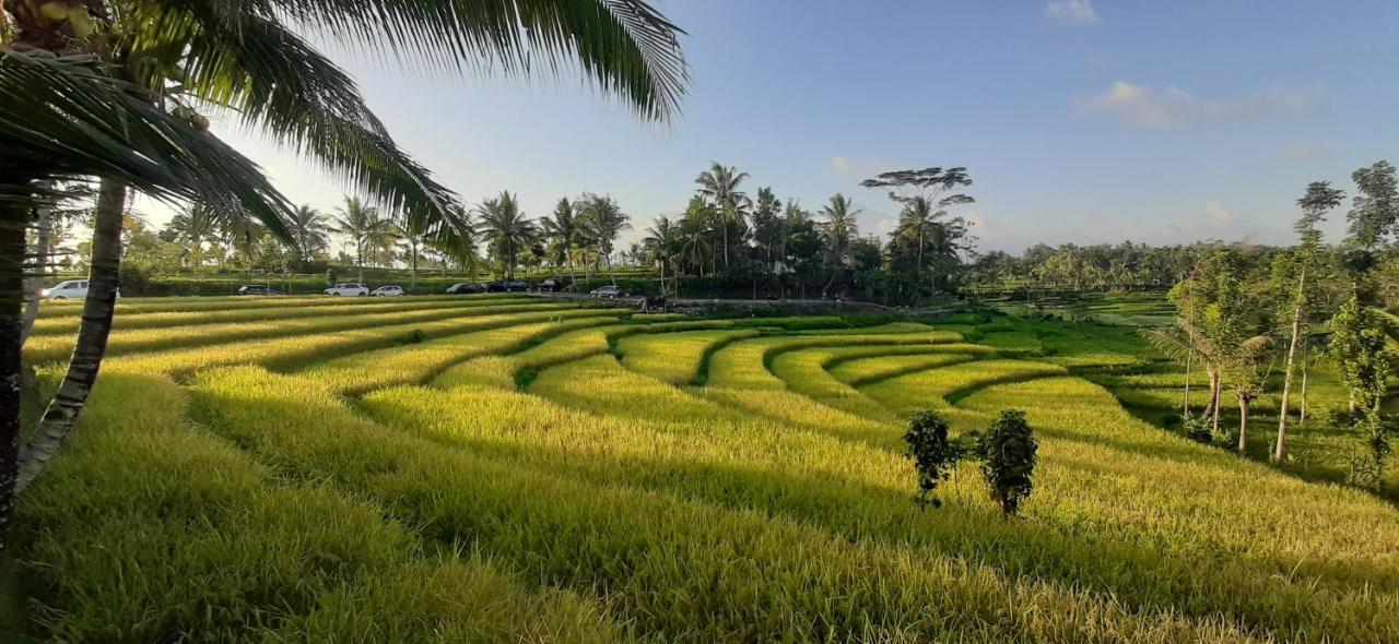 Peraja Loyok * Sangyang