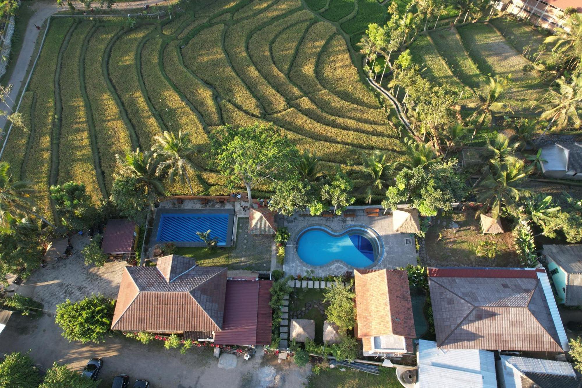 Homestay Peraja Loyok Sangyang